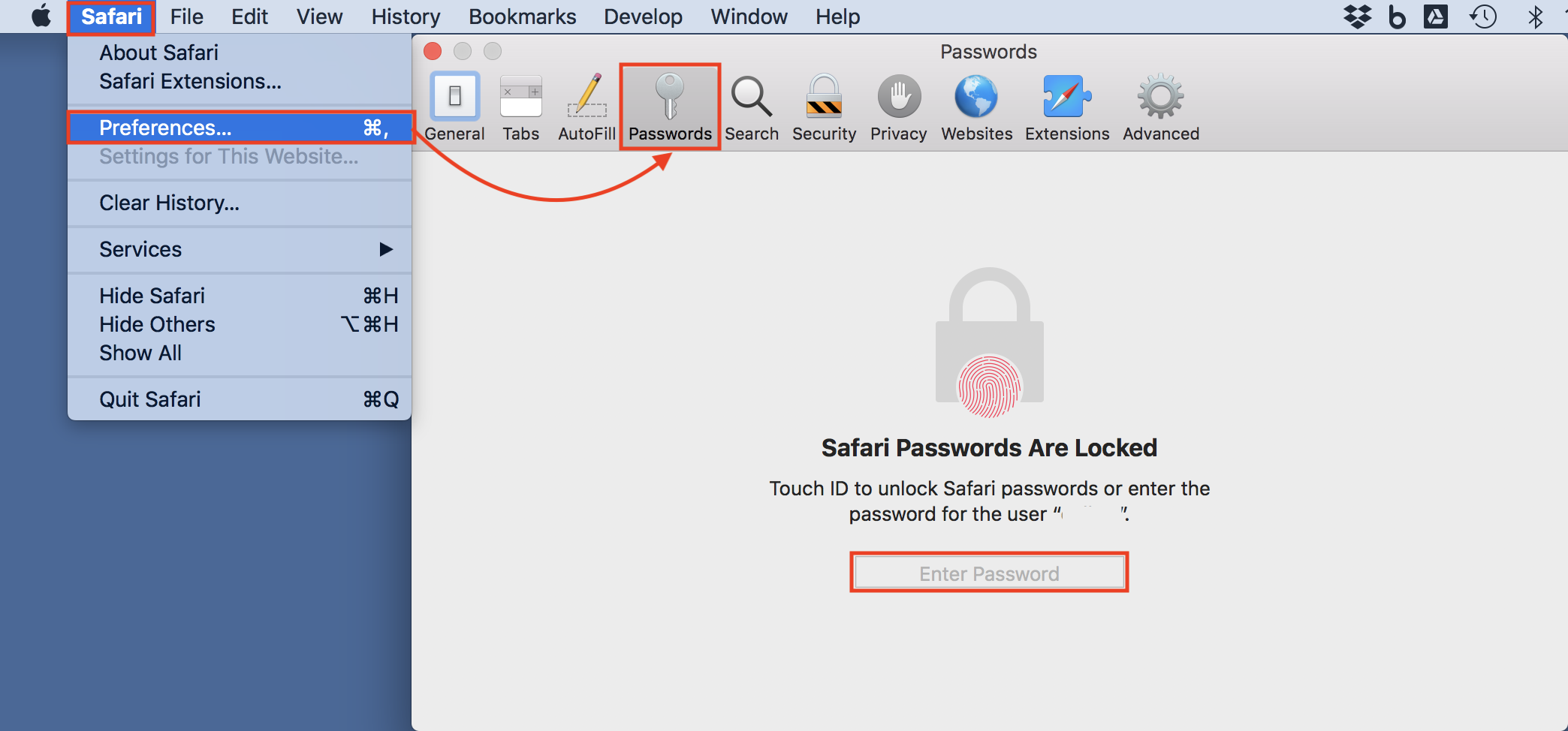 Safari passwords
