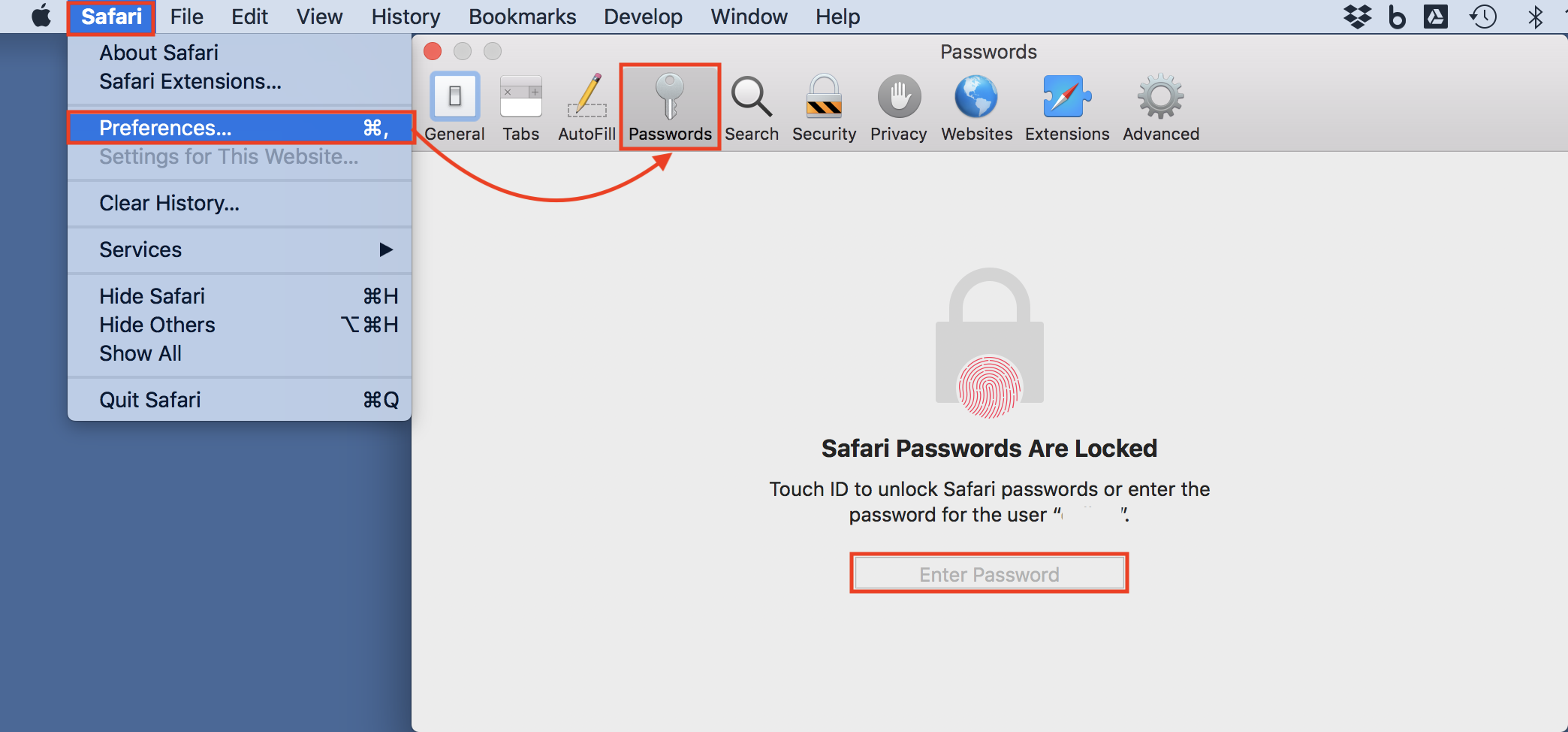 how to check saved passwords on mac